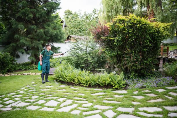 Best Exterminator Services  in Cascade, IA