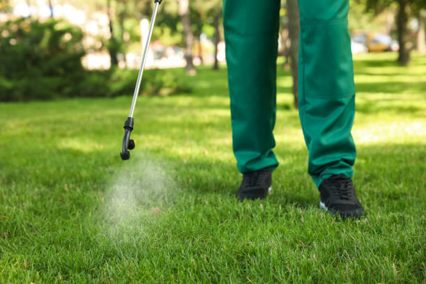 Best Wasp Removal Services  in Cascade, IA