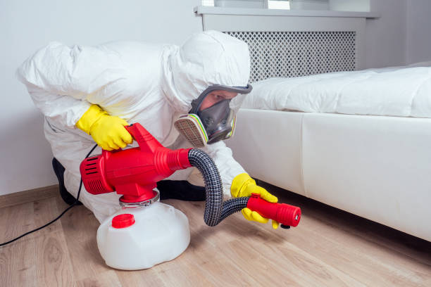 Best Local Pest Control Services  in Cascade, IA