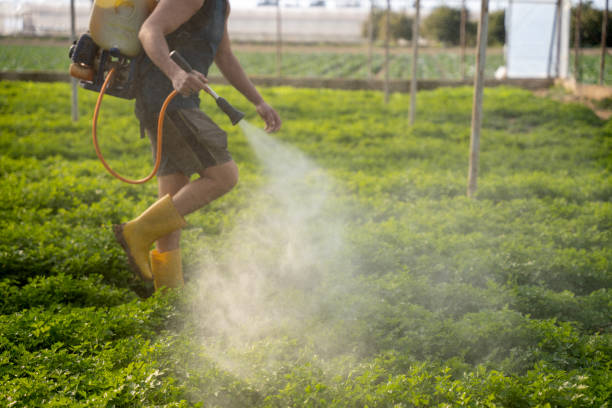 Best Pest Control Near Me  in Cascade, IA