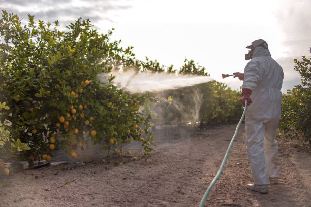Best Termite Control Services  in Cascade, IA